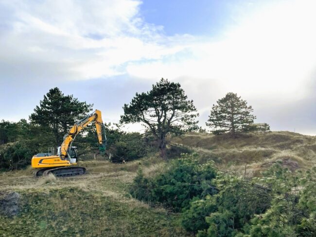 250108 Massnahmen Winter Duenen API (7) (1)