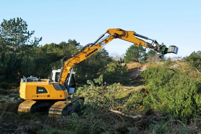 Abb2_2022-01-SPO-Duenenpflege-JF